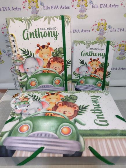 Kit Maternidade Caderneta/pasta Plástica e Porta Documentos