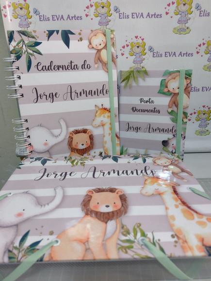 Kit Maternidade Caderneta/pasta Plástica e Porta Documentos