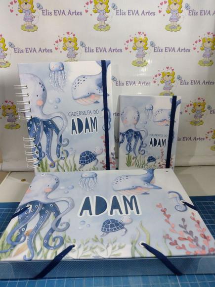 Kit Maternidade Caderneta/pasta Plástica e Porta Documentos