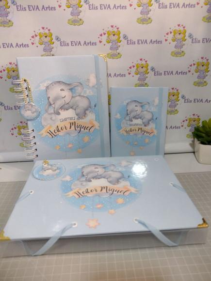 Kit Maternidade Caderneta/pasta Plástica e Porta Documentos