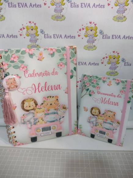 Kit Maternidade Caderneta/pasta Plástica e Porta Documentos