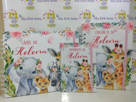Livro do Bebe e Caderneta Safari Menina + Brinde (porta Doc)