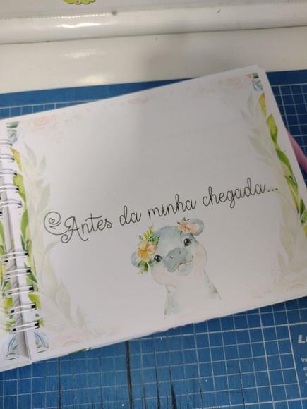 Livro do Bebe e Caderneta Safari Menina + Brinde (porta Doc)
