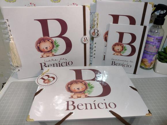 Livro do Bebê/caderneta/pasta Plástica e Porta Documentos