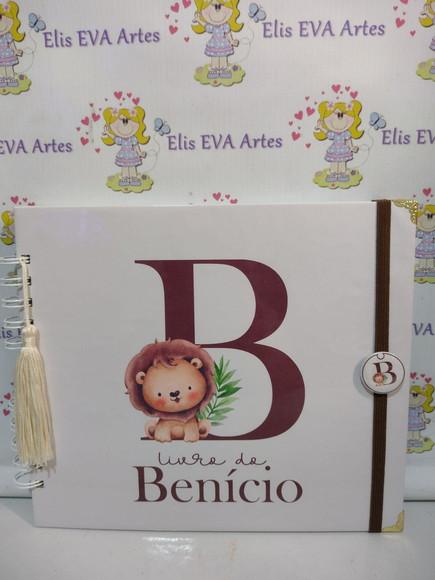Livro do Bebê/caderneta/pasta Plástica e Porta Documentos