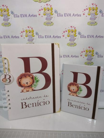 Livro do Bebê/caderneta/pasta Plástica e Porta Documentos