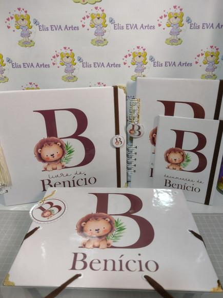 Livro do Bebê/caderneta/pasta Plástica e Porta Documentos