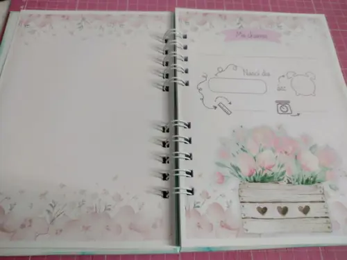Caderneta de Vacina Floral Menina Personalizada + Brinde
