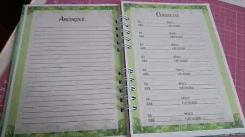 Caderneta de Vacina Safari Capa Dura Personalizada + Brinde