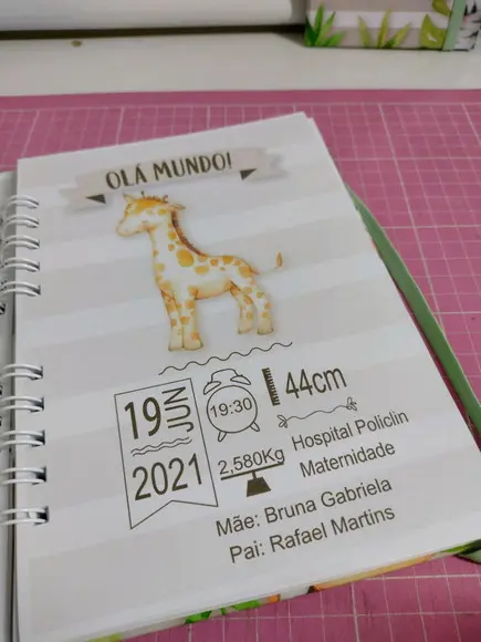 Caderneta De Vacina Personalizada Safari+brinde