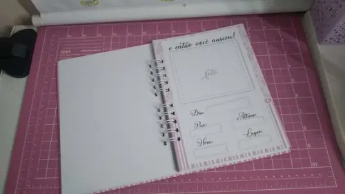 Caderneta De Vacina Ursinha Princesa Personalizada+brinde