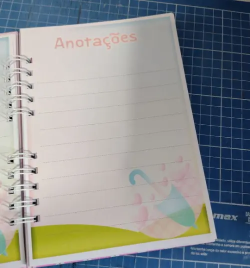 Caderneta de Vacinação Chuva de Amor Personalizada Capa Dura