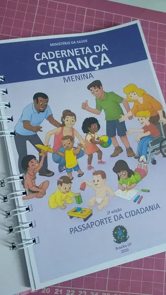 Kit Livro do Bebê c/ Caderneta de Vacinação Jardim Encantado