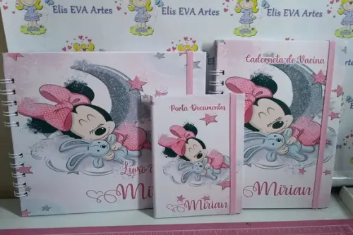 Kit Livro Do Bebê C/ Caderneta De Vacinação Minnie + Brinde