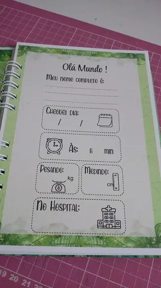 Kit Livro do Bebê c/ Caderneta de Vacinação Safari + Brinde