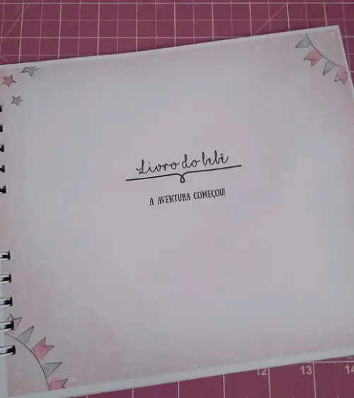 Kit Livro Do Bebê C/ Caderneta De Vacinação Minnie + Brinde