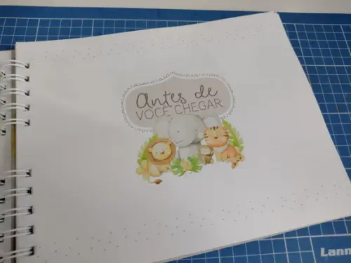 Kit Livro do Bebê Safari Baby e Caderneta de Vacinação+brind