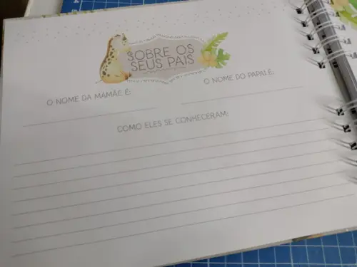 Kit Livro do Bebê Safari Baby e Caderneta de Vacinação+brind