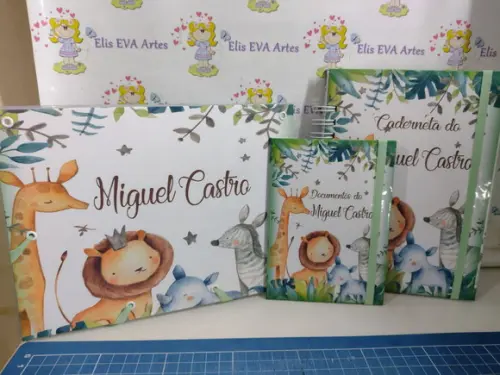 Kit Maternidade Caderneta/pasta Plástica e Porta Documentos