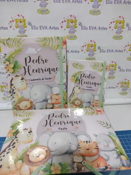 Kit Maternidade Caderneta/pasta Plástica e Porta Documentos