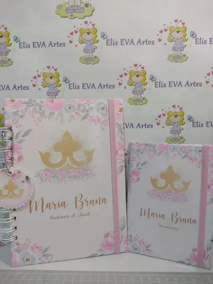 Kit Maternidade Caderneta/pasta Plástica e Porta Documentos