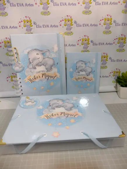 Kit Maternidade Caderneta/pasta Plástica e Porta Documentos
