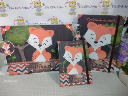 Kit Maternidade Caderneta/pasta Plástica e Porta Documentos