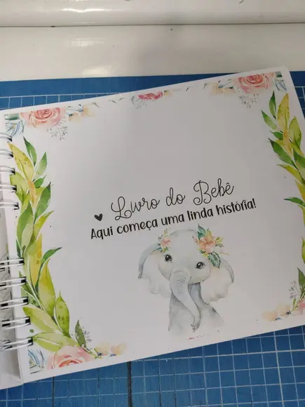 Livro do Bebe e Caderneta Safari Menina + Brinde (porta Doc)