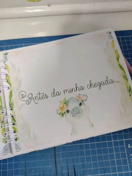 Livro do Bebe e Caderneta Safari Menina + Brinde (porta Doc)
