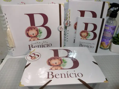 Livro do Bebê/caderneta/pasta Plástica e Porta Documentos
