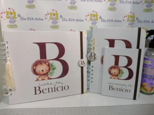 Livro do Bebê/caderneta/pasta Plástica e Porta Documentos