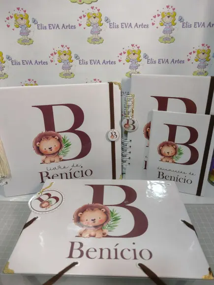 Livro do Bebê/caderneta/pasta Plástica e Porta Documentos