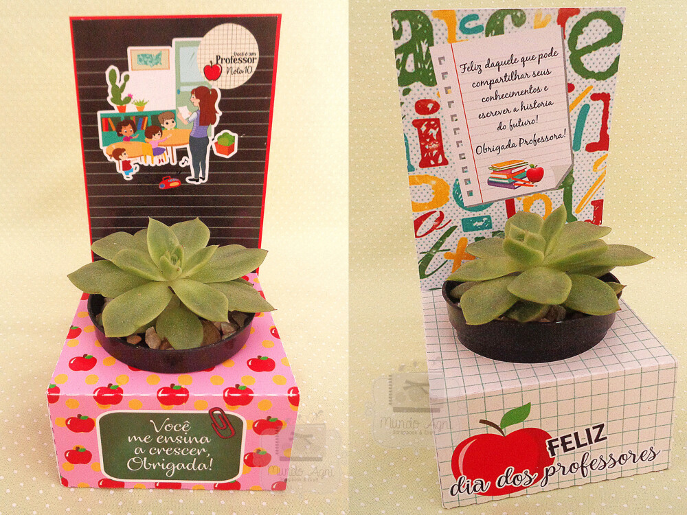 Porta mini suculenta e plantinhas