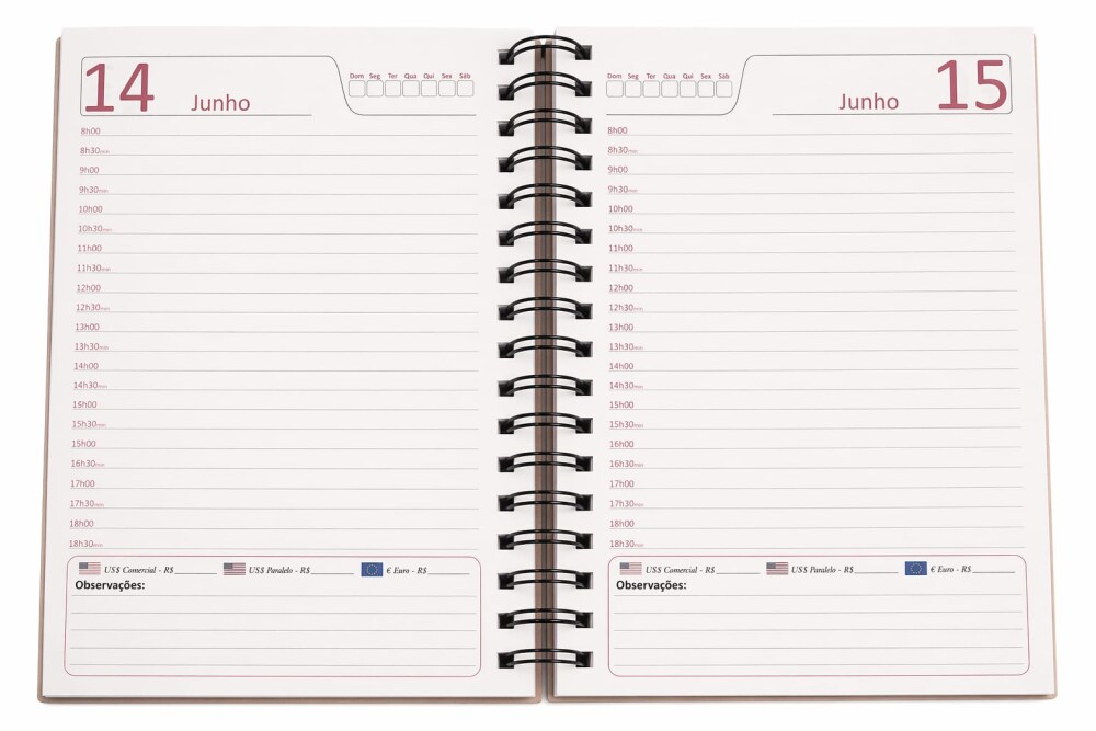 Agenda Permanente Personalizada com Capa MDF | Planner Artesanal