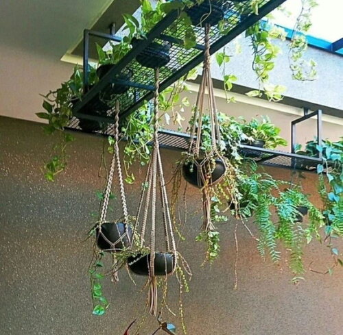 Kit com 3 Suportes para Plantas em Macrame