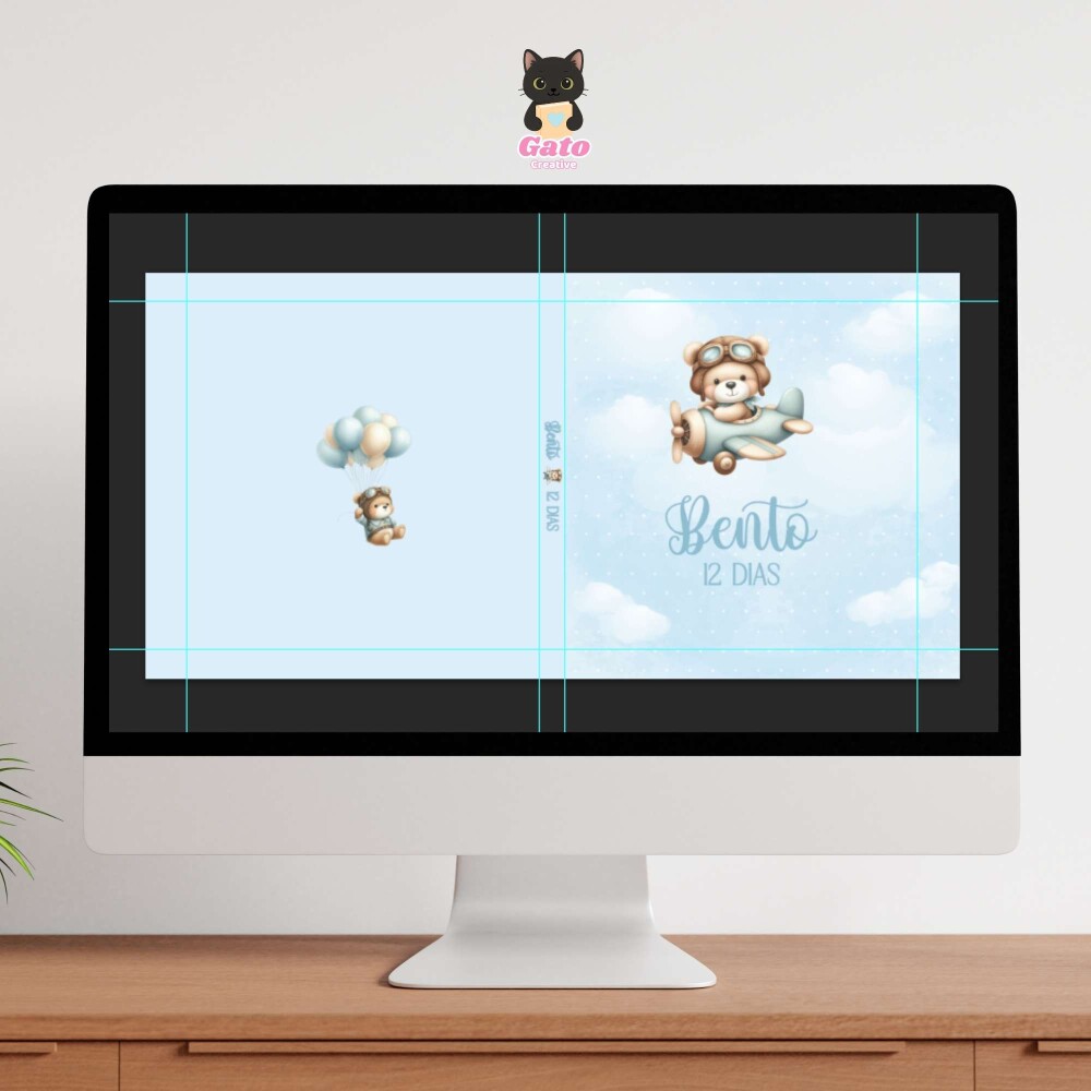 Capa  - Urso Aviador Newborn