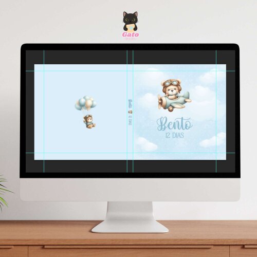 Capa  - Urso Aviador Newborn