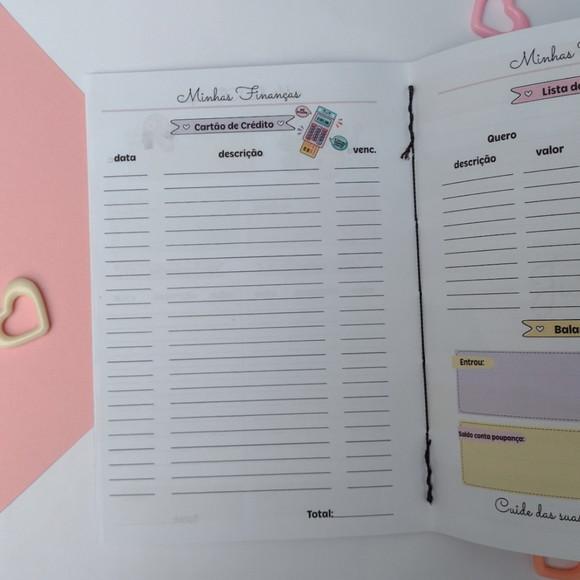 Caderno de Controle Financeiro Brochurinha - Gato