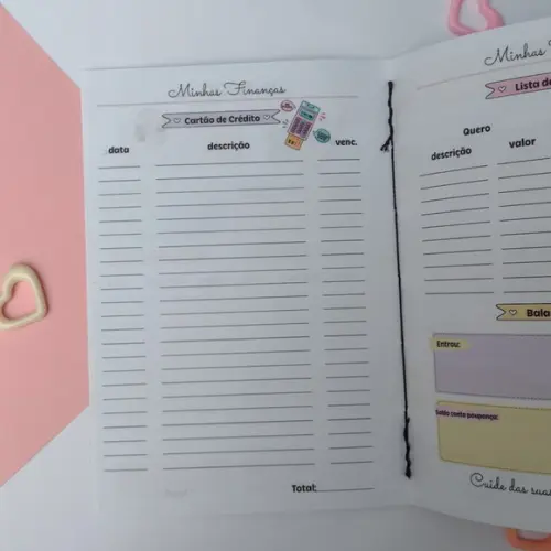 Caderno de Controle Financeiro Brochurinha - Gato