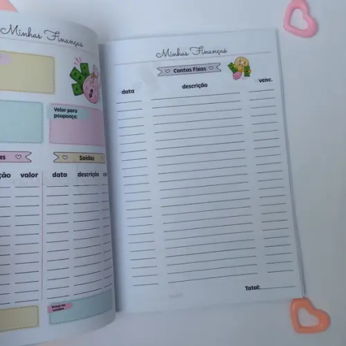 Caderno de Controle Financeiro Brochurinha - Gato