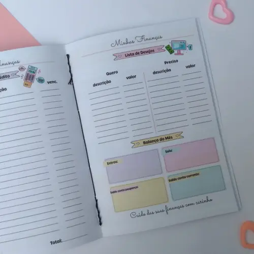 Caderno de Controle Financeiro Brochurinha - Gato