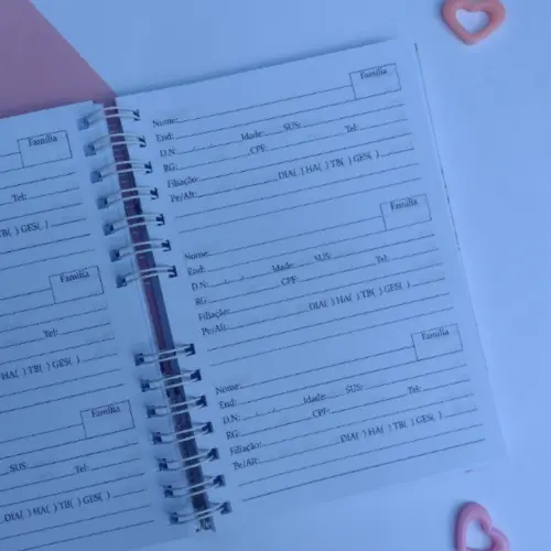 Caderno de Cadastro Técnico em Agente de Saúde - Família Col