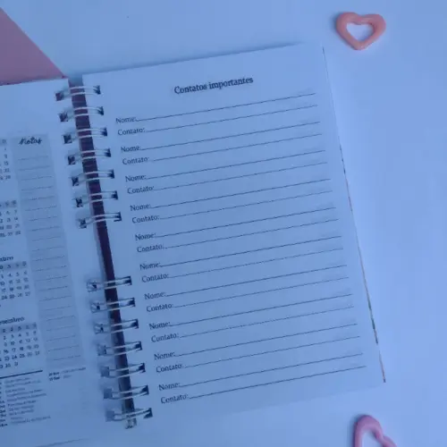 Caderno de Cadastro Técnico em Agente de Saúde - Família Col