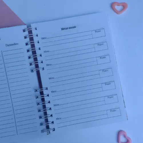 Caderno de Cadastro Técnico em Agente de Saúde - Família Col