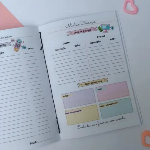 Caderno de Controle Financeiro Brochurinha - Porquinho