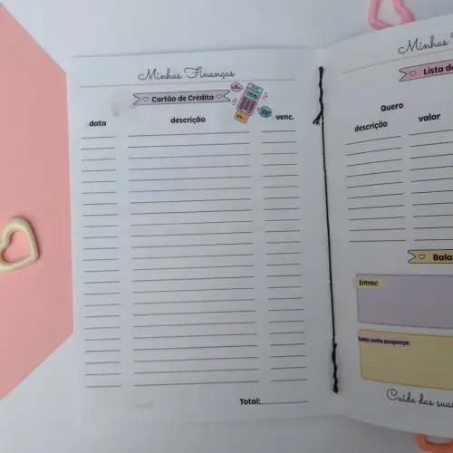 Caderno de Controle Financeiro Brochurinha - Porquinho