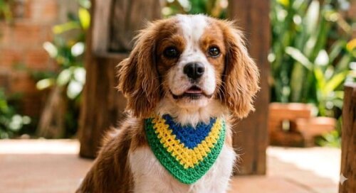 Banda Pet Copa do Mundo Brasil em Crochê