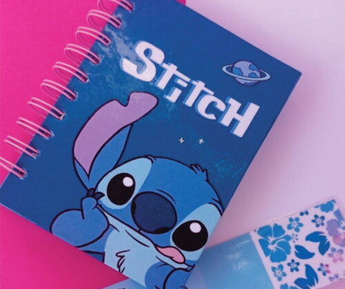 Caderno Capa Dura 11x15 c/ 80 Folhas sem Pauta