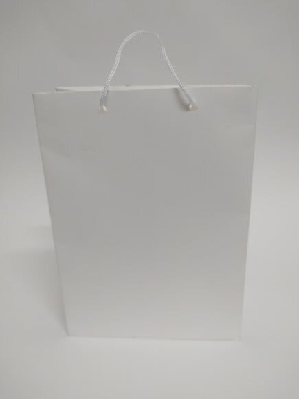 Sacola de Cartolina 20x 15