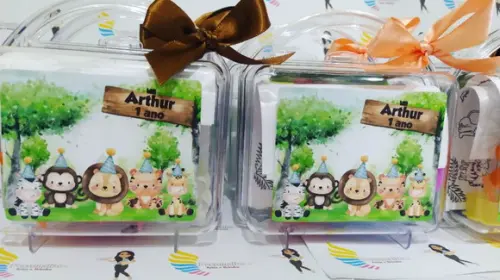 Kit Diversão na Maleta Acrílica Safari Baby